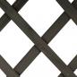 Preview: Garten-Spalier mit Blumenkasten Grau 45x30x74 cm Tannenholz