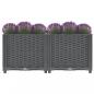 Preview: Hochbeet 80x40x38 cm Polypropylen