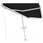 Preview: Standmarkise Manuell Einziehbar 500x300 cm Anthrazit