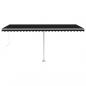 Preview: Standmarkise Manuell Einziehbar 500x300 cm Anthrazit