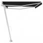 Preview: Standmarkise Manuell Einziehbar 500x300 cm Anthrazit