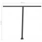 Preview: Standmarkise Manuell Einziehbar 300x250 cm Anthrazit