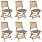 Preview: ARDEBO.de - Klappbare Gartenstühle 6 Stk. mit Kissen Massivholz Akazie