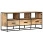 Preview: TV-Schrank 110x30x45 cm Raues Mangoholz