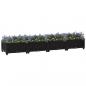 Preview: ARDEBO.de - Hochbeet 160x40x23 cm Polypropylen