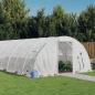 Preview: ARDEBO.de - Gewächshaus mit Stahlrahmen Weiß 96 m² 24x4x2 m