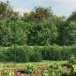 Preview: Maschendrahtzaun mit Bodenhülsen Grün 2x25 m
