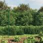 Preview: Maschendrahtzaun mit Bodenhülsen Grün 1,8x25 m