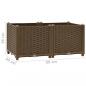 Preview: Hochbeet 80x40x38 cm Polypropylen