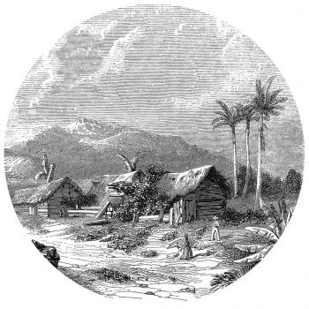 WallArt Fototapete Landscape of Guadeloupe 190 cm