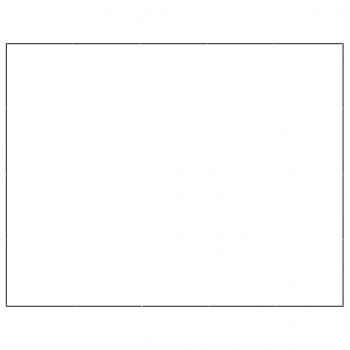 Hundezwinger Schwarz 20 m² Stahl