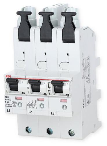 AEG HS91.3E50SAV Sel. Haupt-LS, 50A, 25kA (2CDS781055R4502)