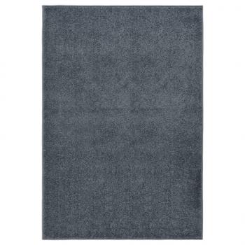 ARDEBO.de - Teppich Kurzflor 160x230 cm Anthrazit