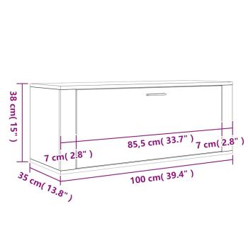 Wand-Schuhschrank Betongrau 100x35x38 cm Holzwerkstoff