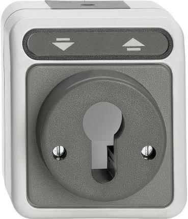 ARDEBO.de Merten MEG3717-8029 Rollladen-Tast-Rastschalter für Schließzylinder, Aquastar, 10 A, AC 250 V, lichtgrau