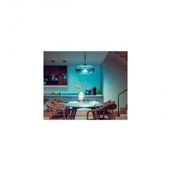 Philips Hue White & Color Ambiance Smarte LED Lampe, 15W, A67, E27, 1521lm, 4000K (929002471601)