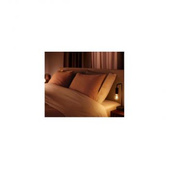 Philips Hue White Ambiance Filament Lampe, E27, 7W, A60, 550lm, 2700K (929002477501)