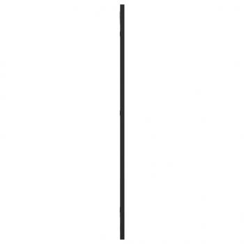 Wandspiegel Schwarz 30x80 cm Rechteckig Eisen