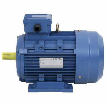 3-Phasen-Elektromotor Aluminium 3 kW 4 PS 2-Polig 2840 U/min 