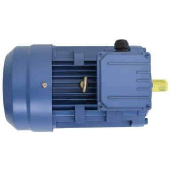 3-Phasen-Elektromotor Aluminium 4 kW 5,5 PS 2-Polig 2840 U/min 