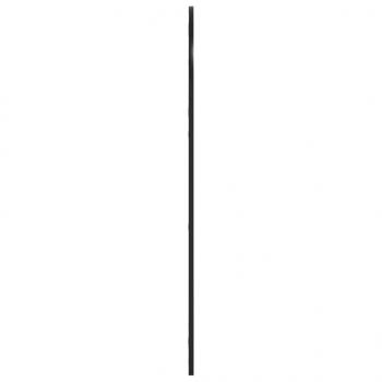 Wandspiegel Schwarz 60x110 cm Gewölbt Eisen