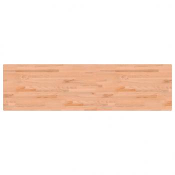 Werkbank 200x55x81,5 cm Massivholz Buche und Metall