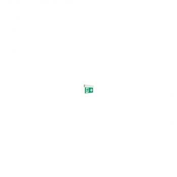 ARDEBO.de RP Group KSU013SC Rettungszeichen-Leuchte Universal, EB + SC/3h, Lithium