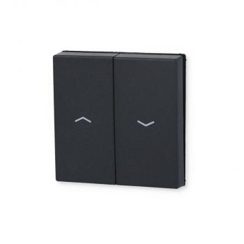 Wippe mit Symbolen, anthrazit, LS 990, Jung AL2995PAN