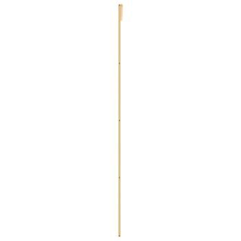 Schiebetür Golden 76x205 cm Matt ESG-Glas und Aluminium