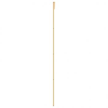 Schiebetür Golden 90x205 cm ESG-Klarglas und Aluminium