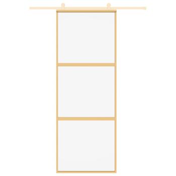 Schiebetür Golden 76x205 cm ESG-Klarglas und Aluminium