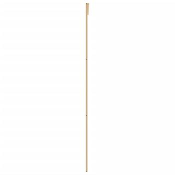 Schiebetür Golden 90x205 cm ESG-Klarglas und Aluminium