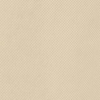 Wintervlies mit Reißverschluss 10 Stk. 70 g/m² 1,55x1,55 m