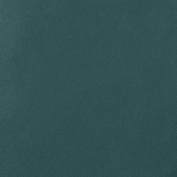 Wintervlies mit Kordelzug 12 Stk. 70 g/m² 0,8x1,2 m