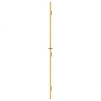 Innentür Schlank Golden 93x201,5 cm Hartglas und Aluminium