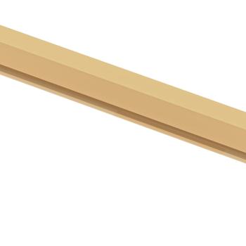 Innentür Schlank Golden 83x201,5 cm Hartglas und Aluminium