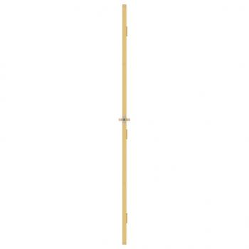 Innentür Schlank Golden 93x201,5 cm Hartglas und Aluminium