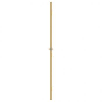 Innentür Schlank Golden 102,5x201,5 cm Hartglas und Aluminium