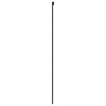 Schiebetür Schwarz 76x205 cm Hartglas und Aluminium