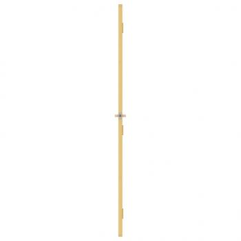 Innentür Schlank Golden 102,5x201,5 cm Hartglas und Aluminium