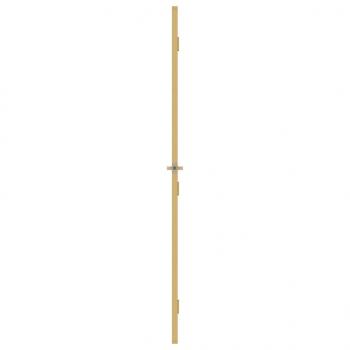 Innentür Schlank Golden 93x201,5 cm Hartglas und Aluminium