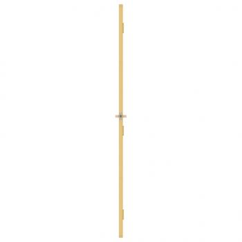 Innentür Schlank Golden 83x201,5 cm Hartglas und Aluminium