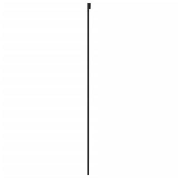 Schiebetür Schwarz 90x205 cm Hartglas und Aluminium
