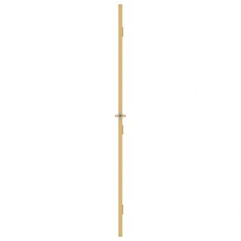 Innentür Schlank Golden 102,5x201,5 cm Hartglas und Aluminium