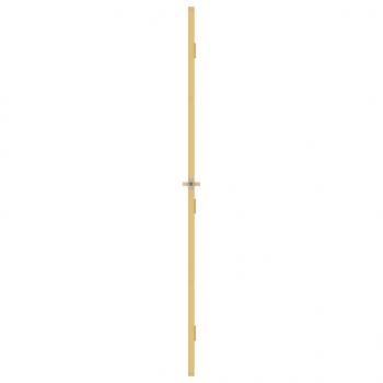 Innentür Schlank Golden 102,5x201,5 cm Hartglas und Aluminium