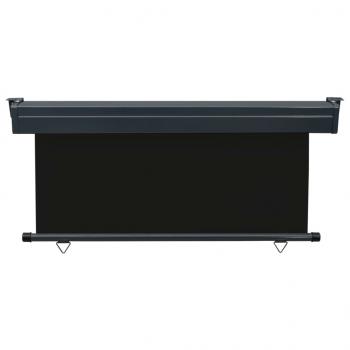 Balkon-Seitenmarkise 160 × 250 cm Schwarz