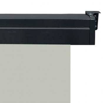 Balkon-Seitenmarkise 140 × 250 cm Grau