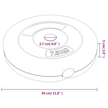 Hantelscheiben 6 Stk. 30 kg Zement