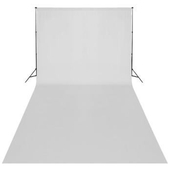 Fotostudio-Set mit Weißem Hintergrund 600×300 cm & Leuchten