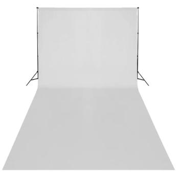 Fotostudio-Set mit Softboxen und Hintergrundsystem